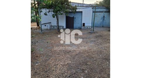 CASA DE CAMPO CON PISCINA LUZ AGUA LEGAL. OLIVAR 9 FANEGAS. TIERRA CALMA  3,5 FANEGAS A UN PASO DE BAENA, immagine 2