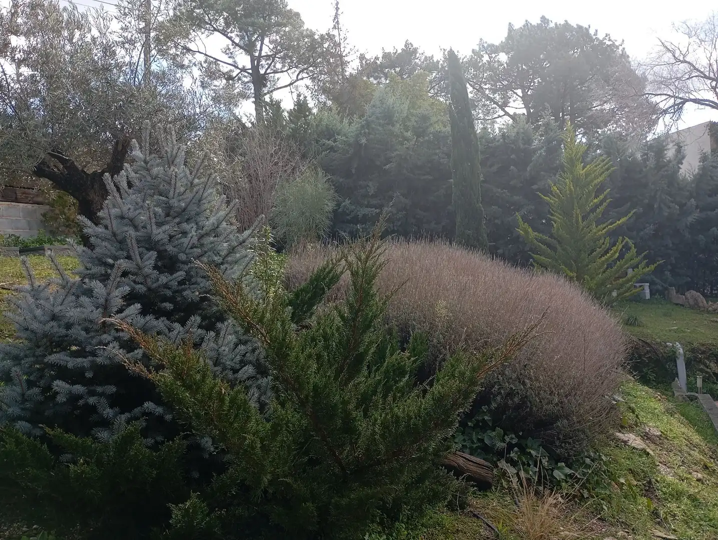 Jardí de Casa o xalet en venda en Robledo de Chavela amb Aire condicionat, Calefacció i Jardí privat