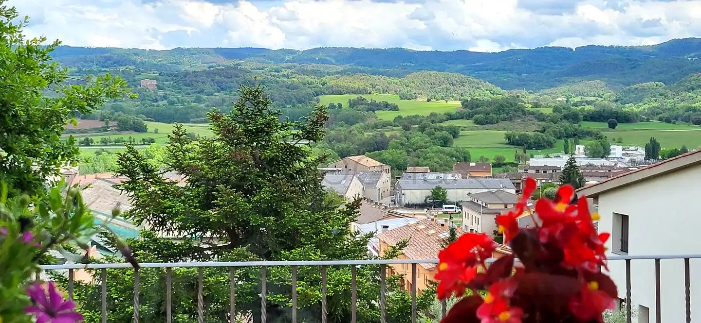 Vista exterior de Casa o chalet en venta en Olost con Jardín privado, Terraza y Piscina