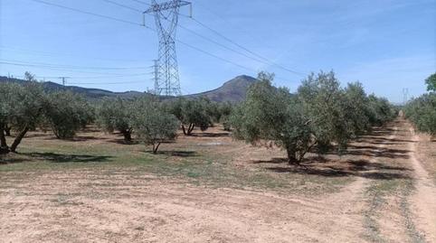 Foto 4 de Finca rústica en venta en Polígono la Zanja, Albolote, Granada