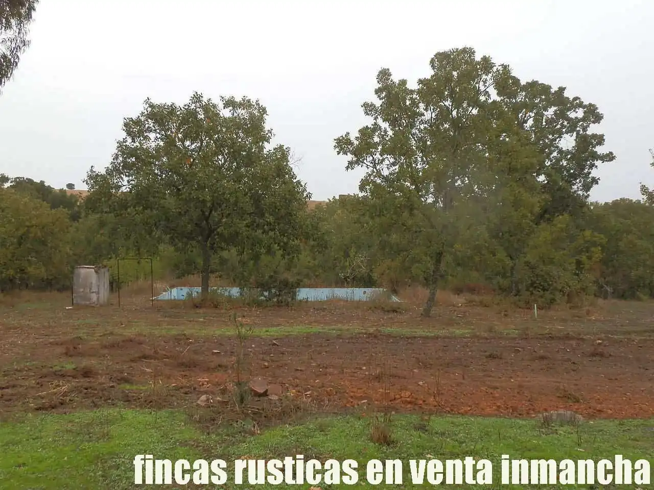 Land for sale in Abenójar