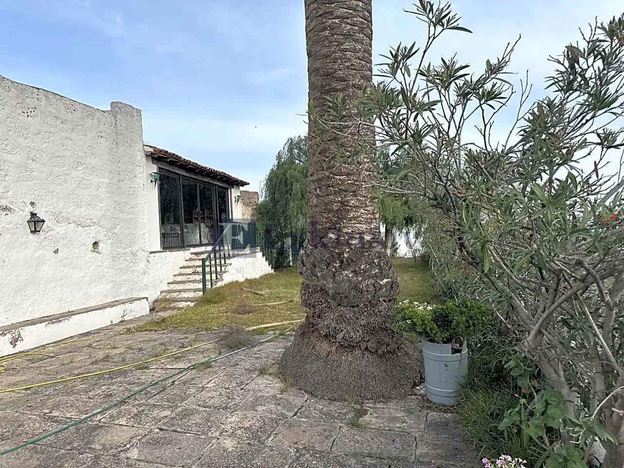 Jardín de Finca rústica en venta en Arico