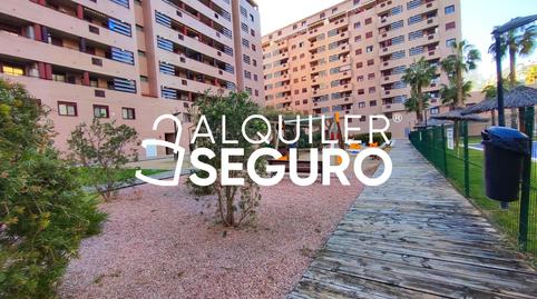 Photo 3 of Flat for rent in Vinaroz, Barrio de Benimaclet, Valencia Capital