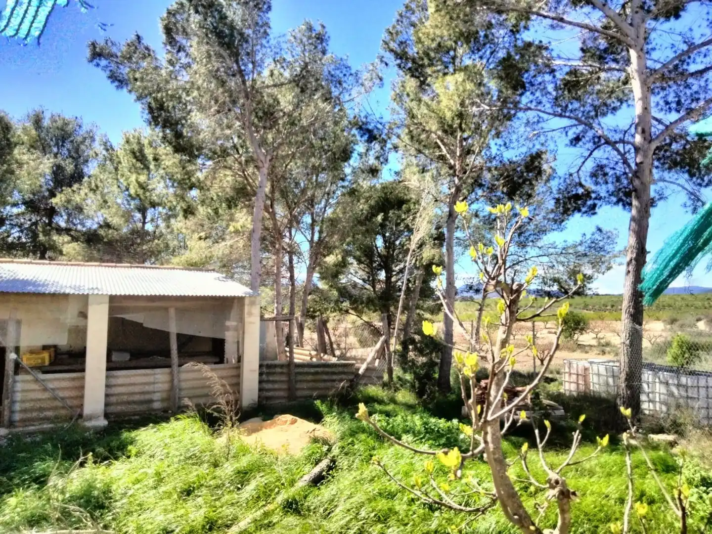 Garten von Haus oder Chalet zum Verkauf in Mula mit Möbliert