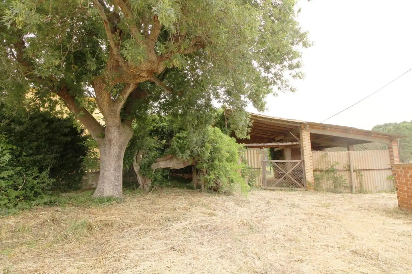 Haus mit Garten zum Verkauf in Pau Casals 560, imagen 25