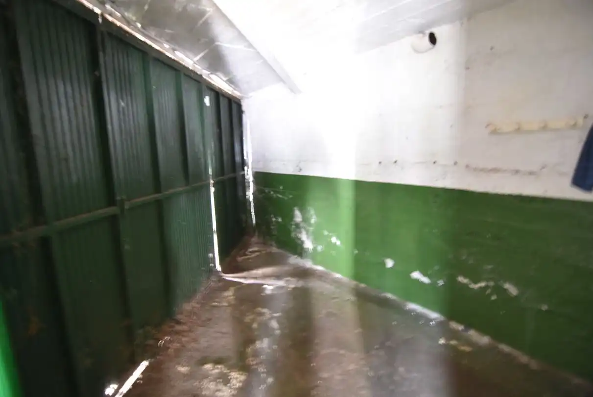 Nave industrial en venta en Soraluze / Plasencia de las Armas