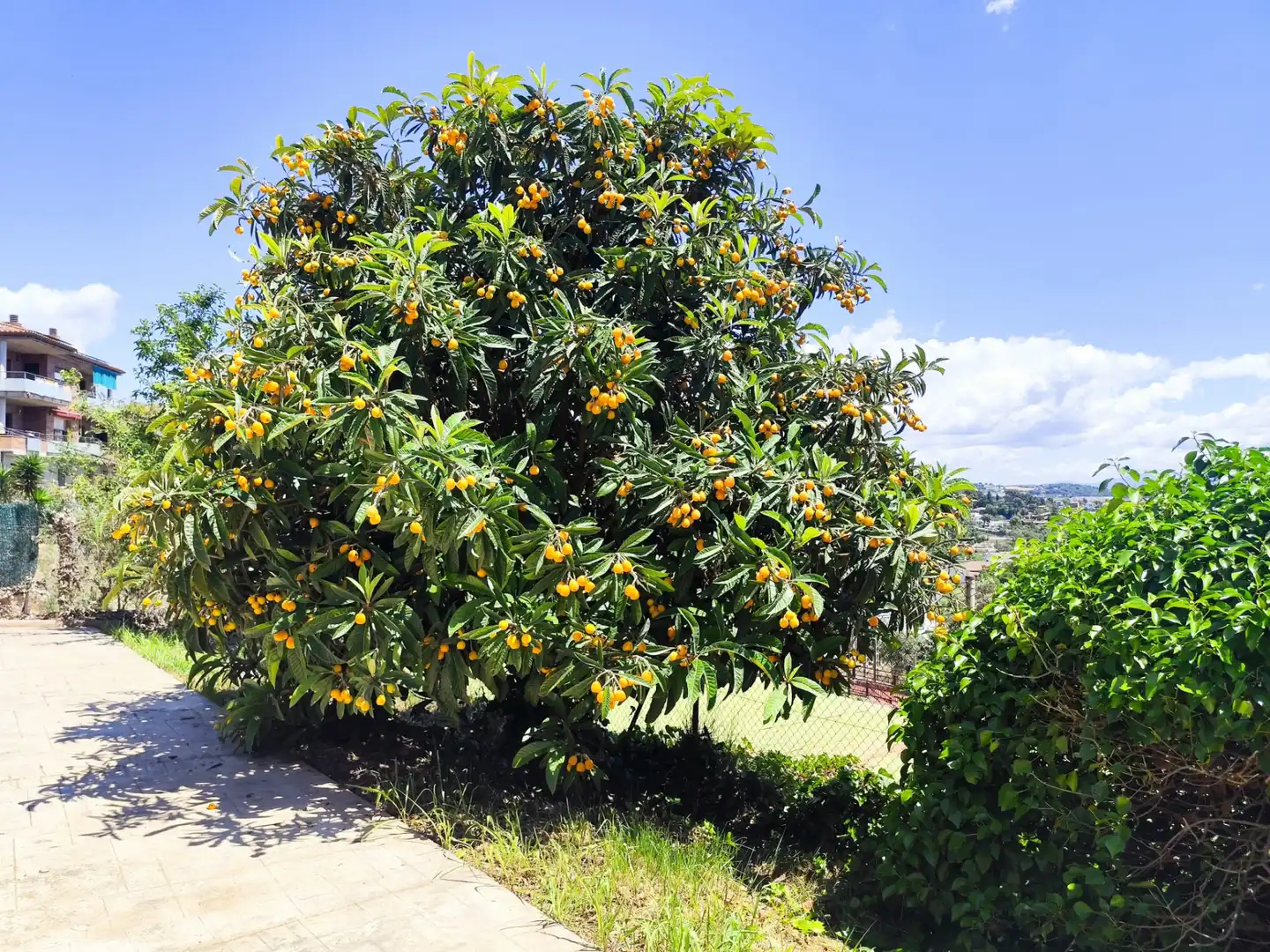 Jardí de Casa o xalet en venda en Lliçà de Vall amb Aire condicionat, Calefacció i Jardí privat