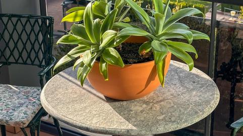 Photo 4 of Flat for sale in Calle Rio Nalon, 3, Parque Sensal, Castellón