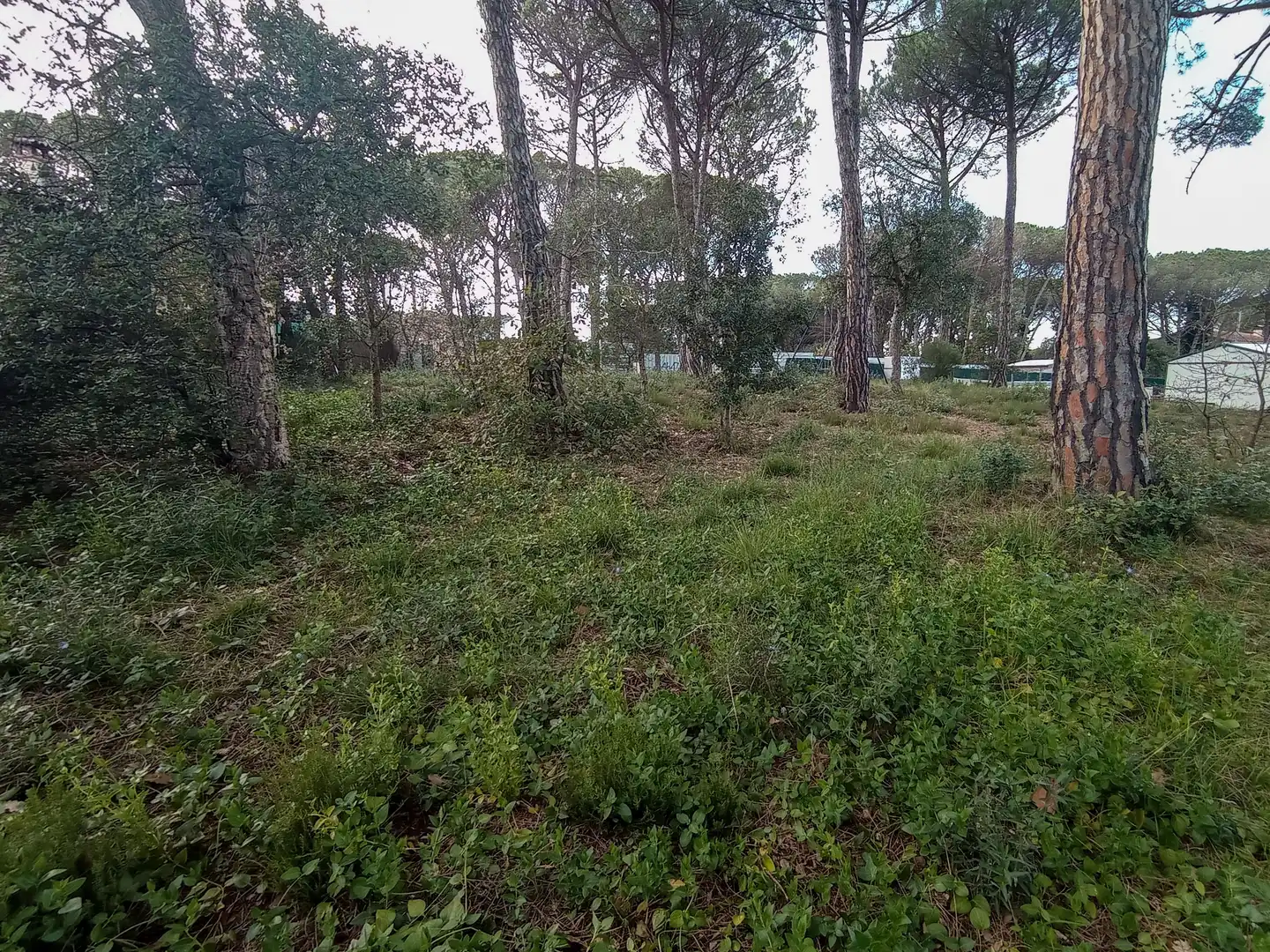 Terreny residencial en venda a Llagostera, imagen 8
