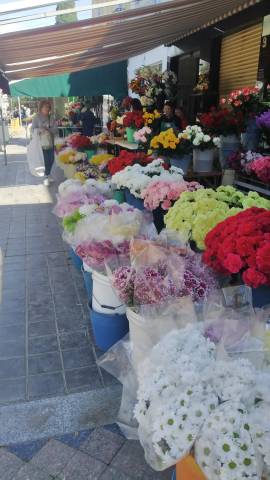 Local comercial en Alquiler en Camí Reial