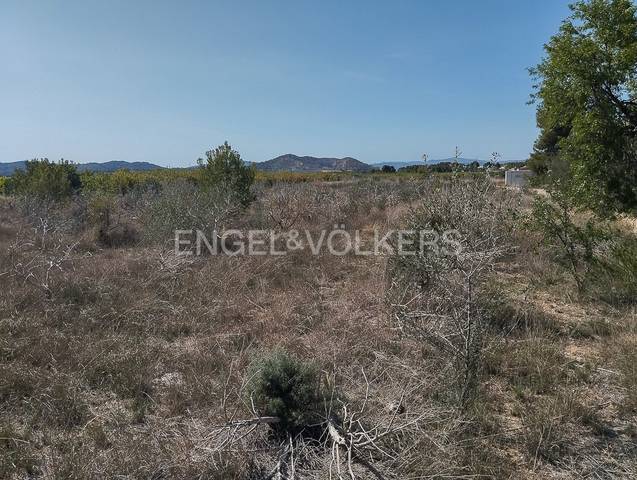 Terreno residencial en Venta en Domeño