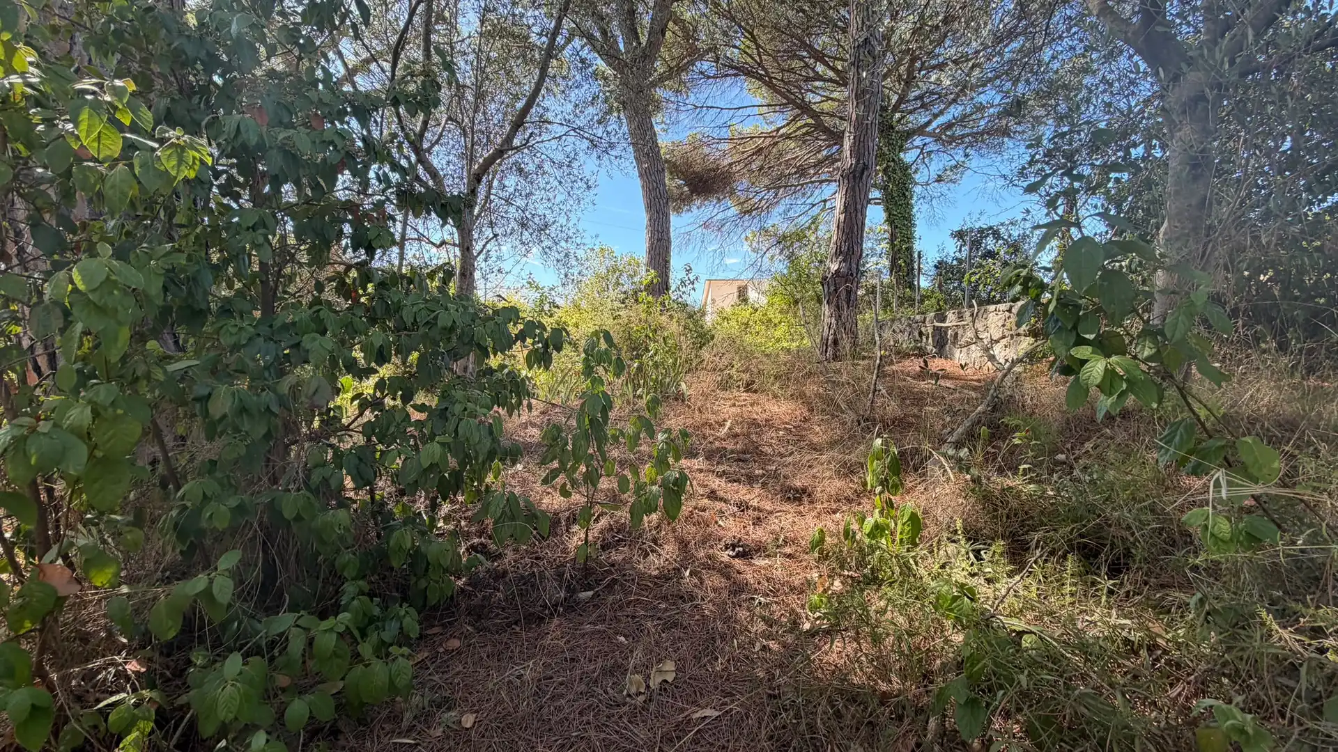 Residential for sale in Riells i Viabrea