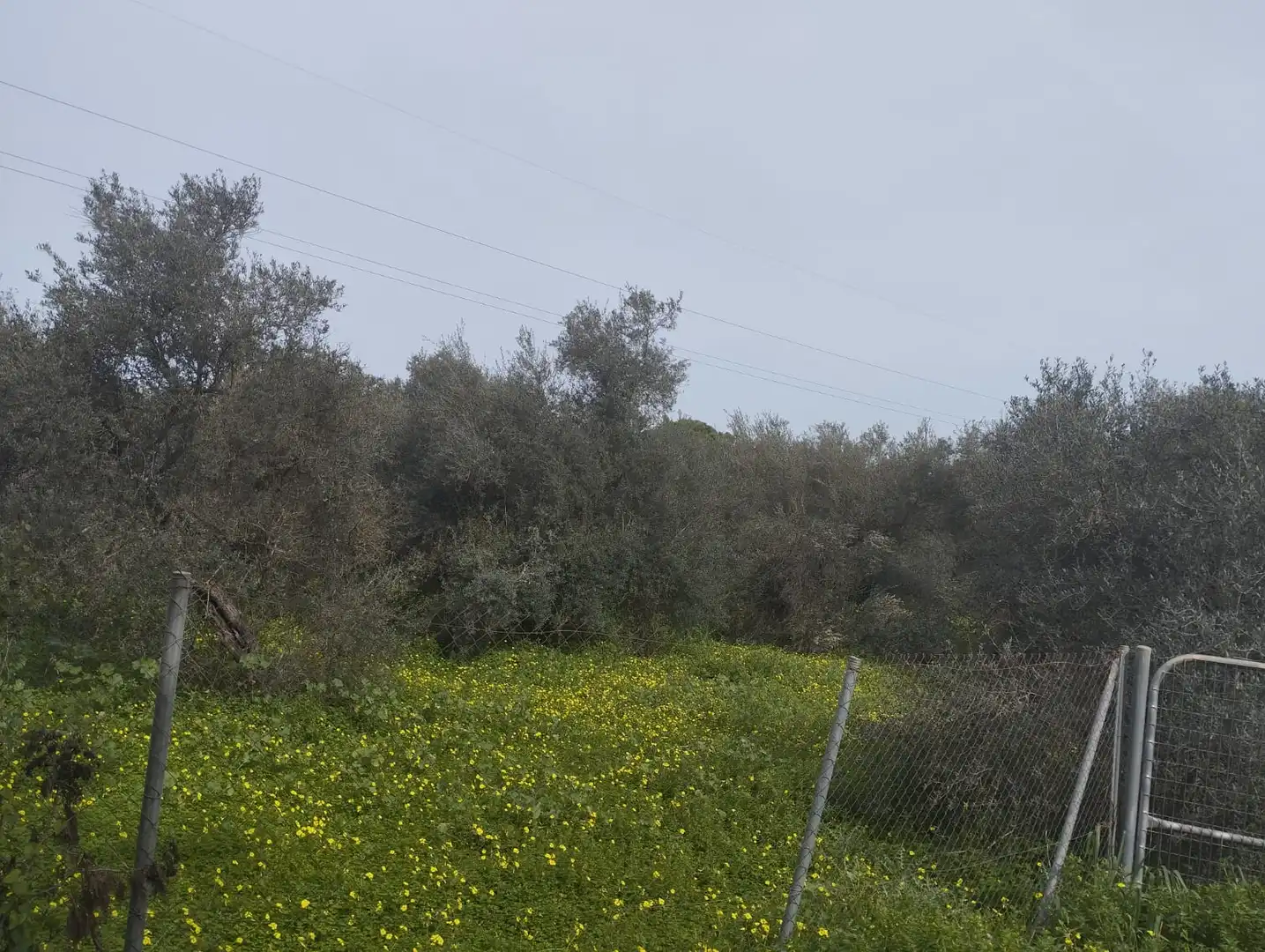 Terreni e lotti in vendita a Sanlúcar la Mayor, imagen 5