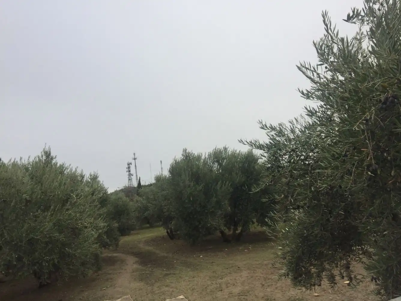 Terrenos y solares en venta en Úbeda, imagen 2