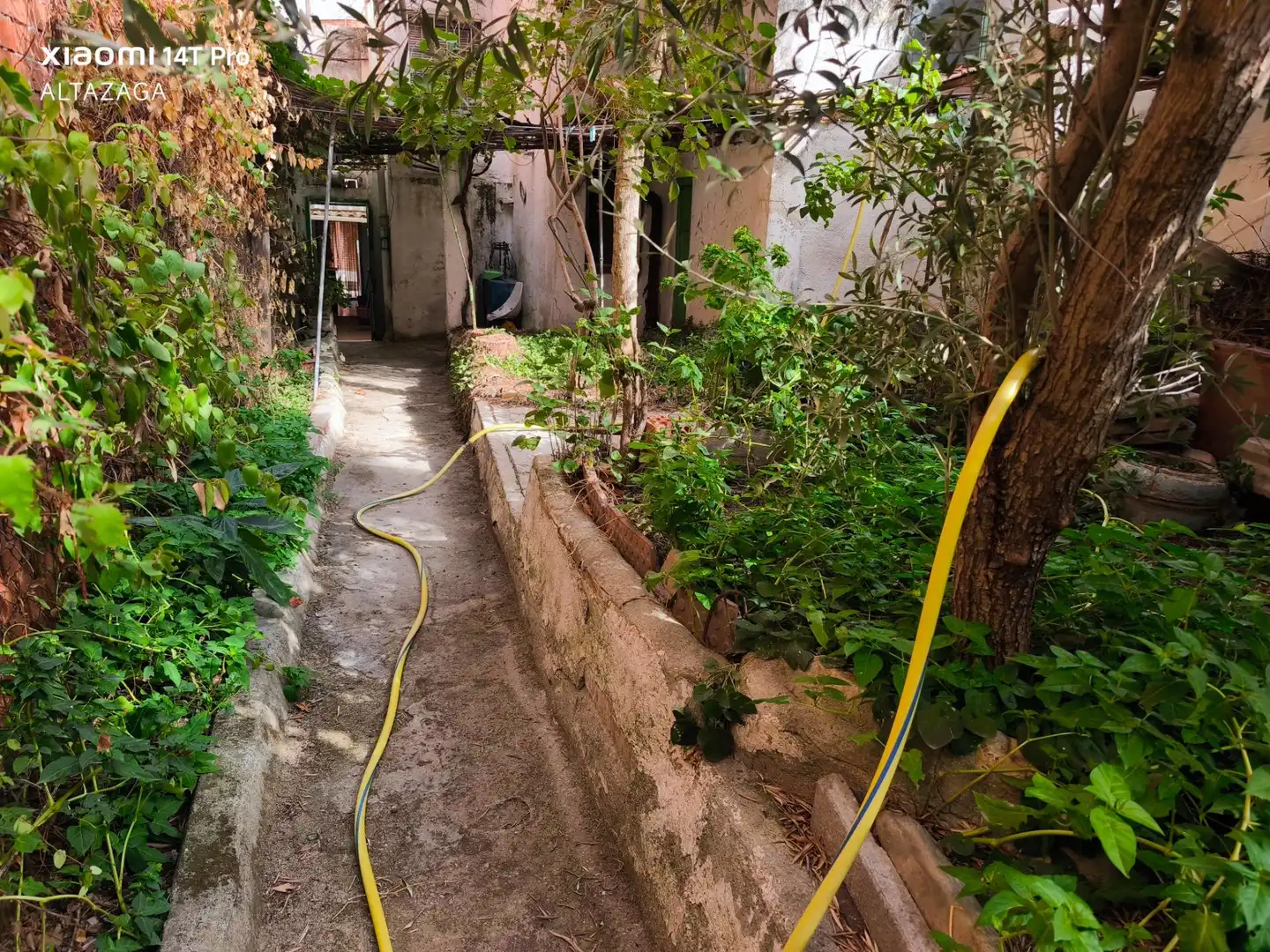 Jardín de Casa o chalet en venta en San Sebastián de los Reyes