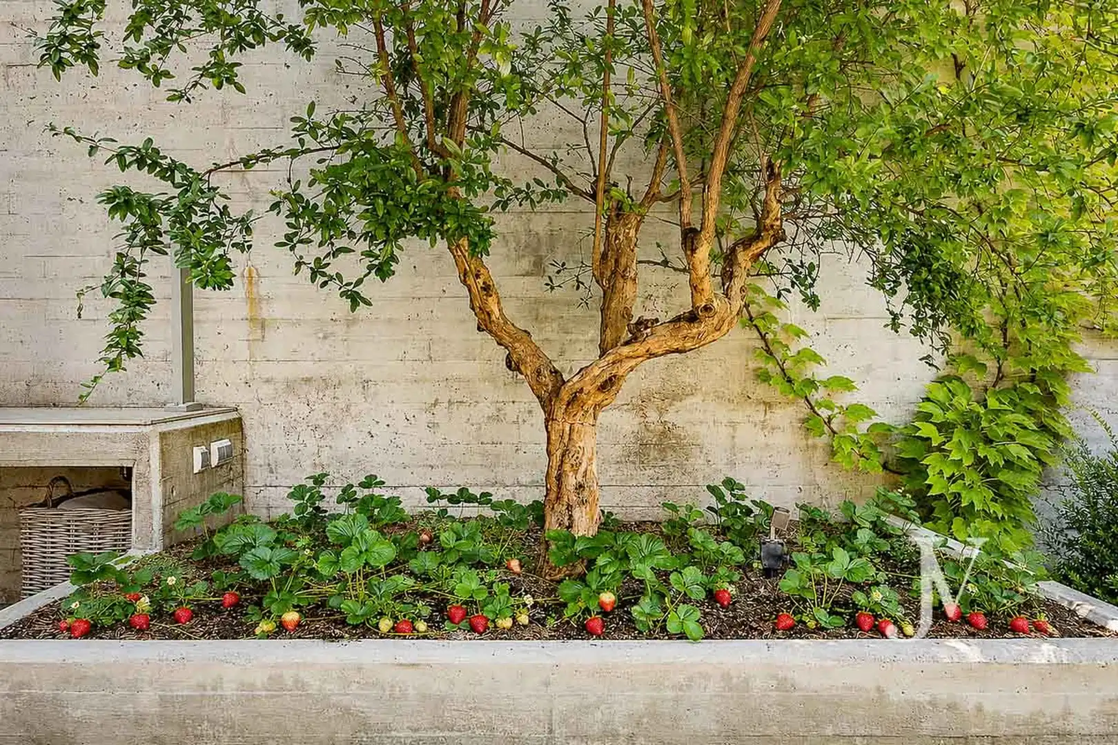 Jardín de Casa o chalet en venta en Madrid con Aire acondicionado, Calefacción y Jardín privado