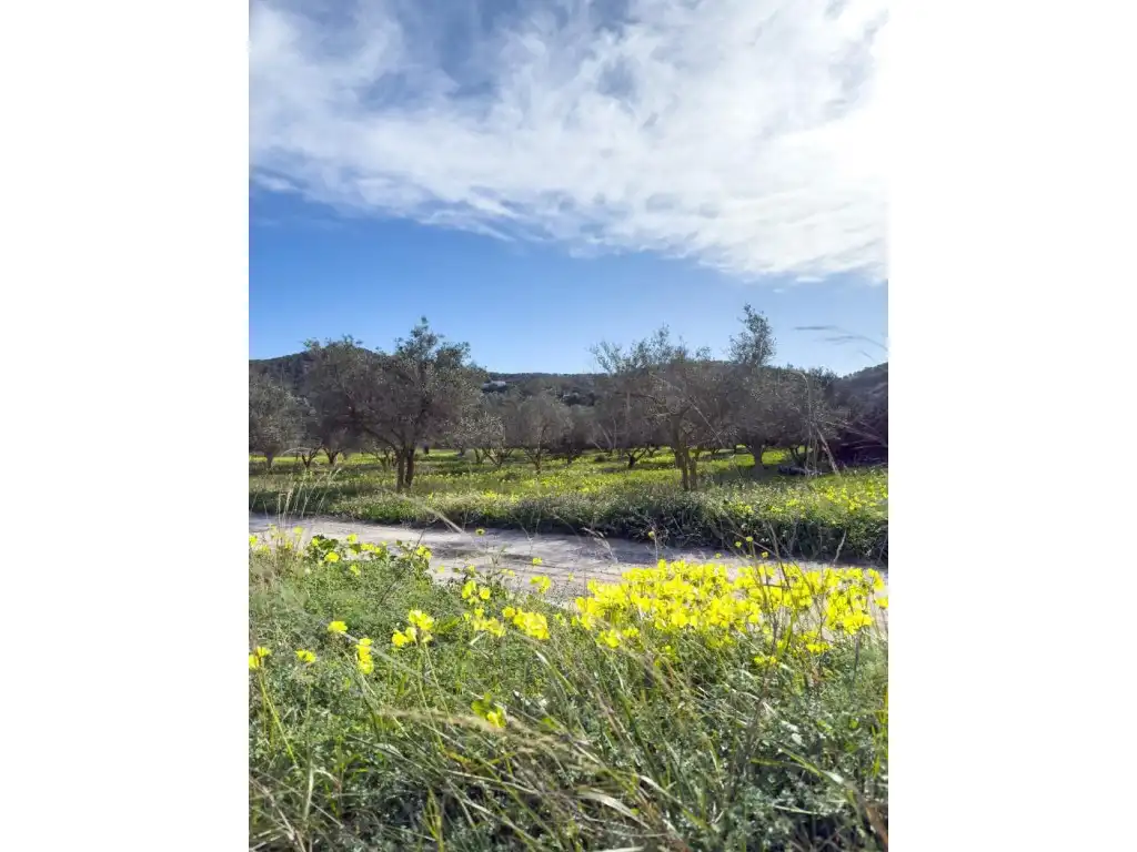 Villa mit Garten zum Verkauf in Cala Vedella-Cala Tarida, imagen 22