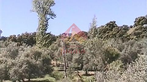 Foto 4 de Finca rústica en venda a Casco Histórico, Ronda