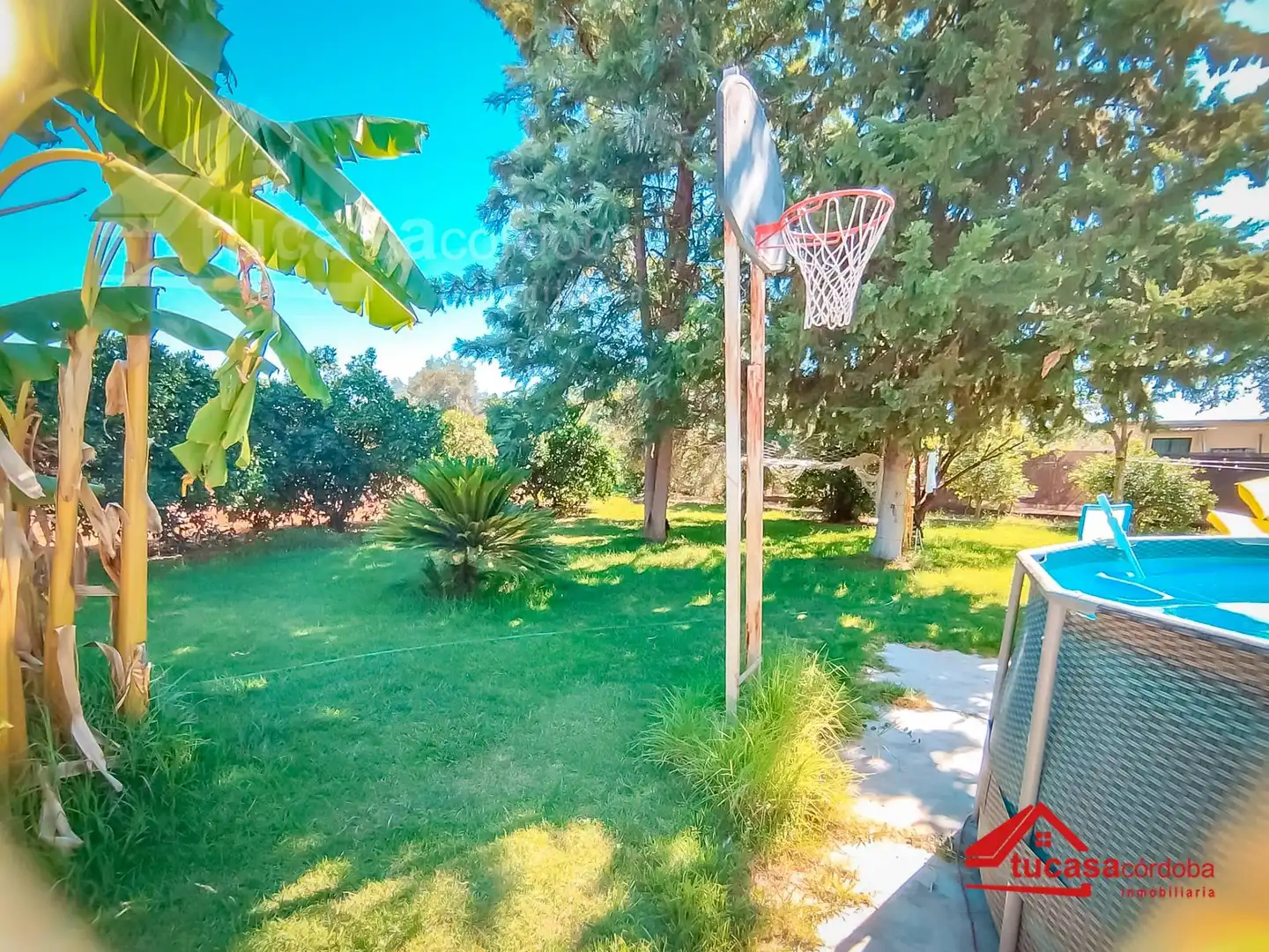 Jardí de Casa o xalet en venda en Córdoba amb Aire condicionat, Calefacció i Jardí privat