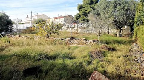 SolarParcela edificable En Cunit, immagine 2
