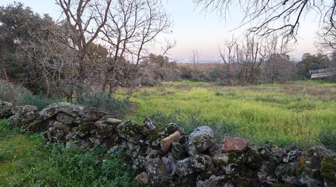 Foto 3 de Terreny en venda a Aceituna, Cáceres