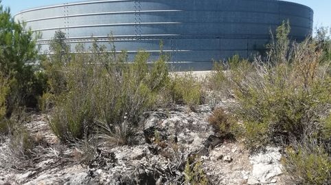 Foto 5 de Terreny en venda a L'Albagés, Lleida