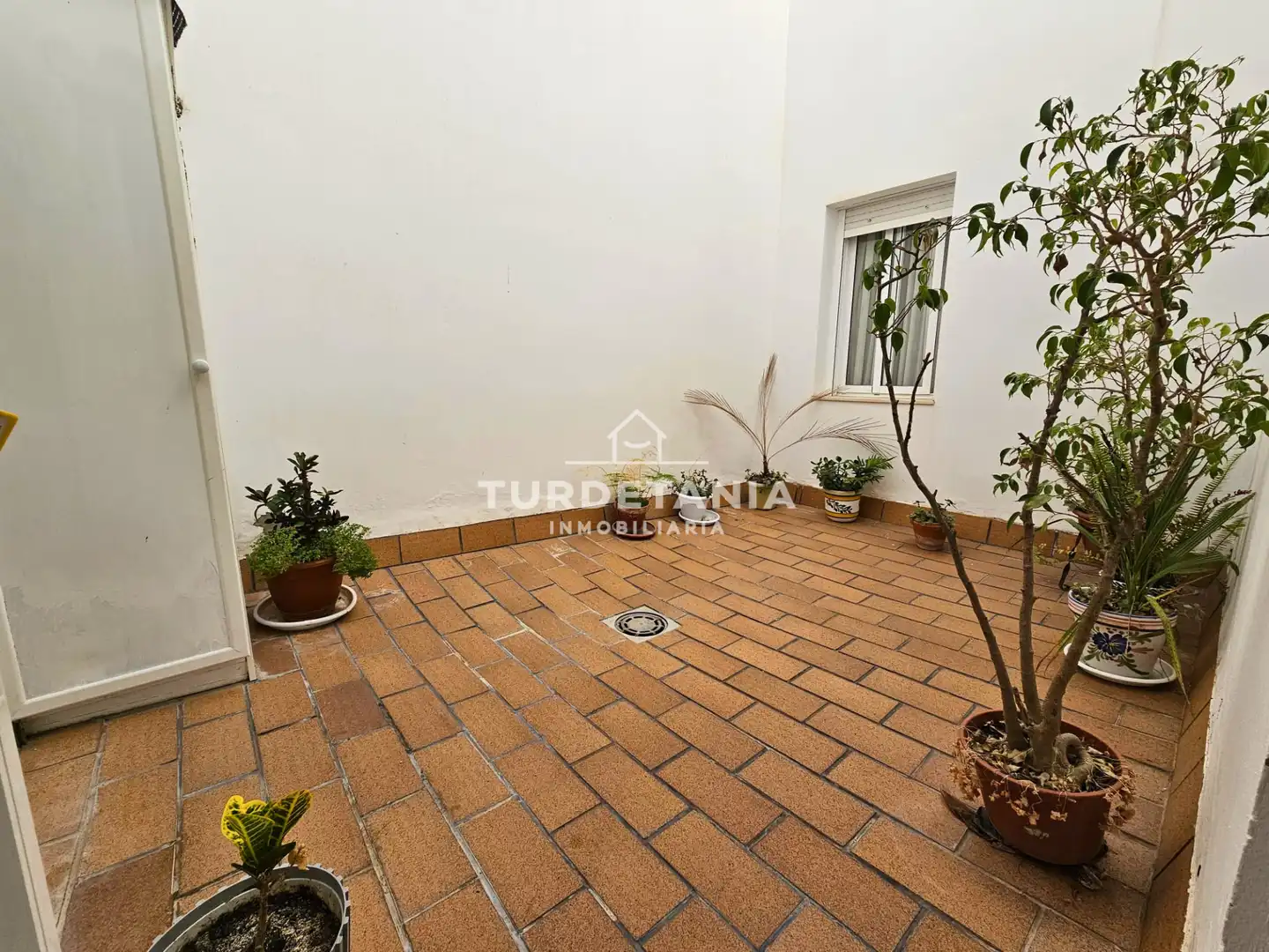 Garden of Ground floor for rent in Sanlúcar de Barrameda  with Furnished and Balcony