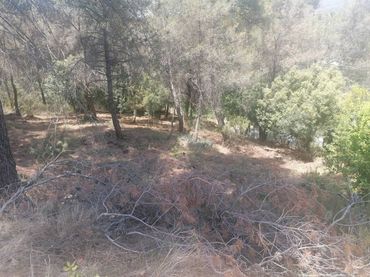 Residential land for sale in Calle Romaní 26