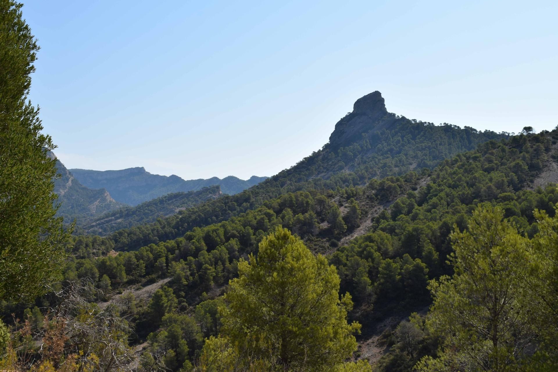 Casa o chalet en venta en  DISEMINAT, Bot