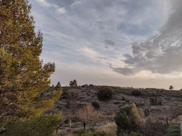 Terreny residencial en venda a Sierra Engarcerán