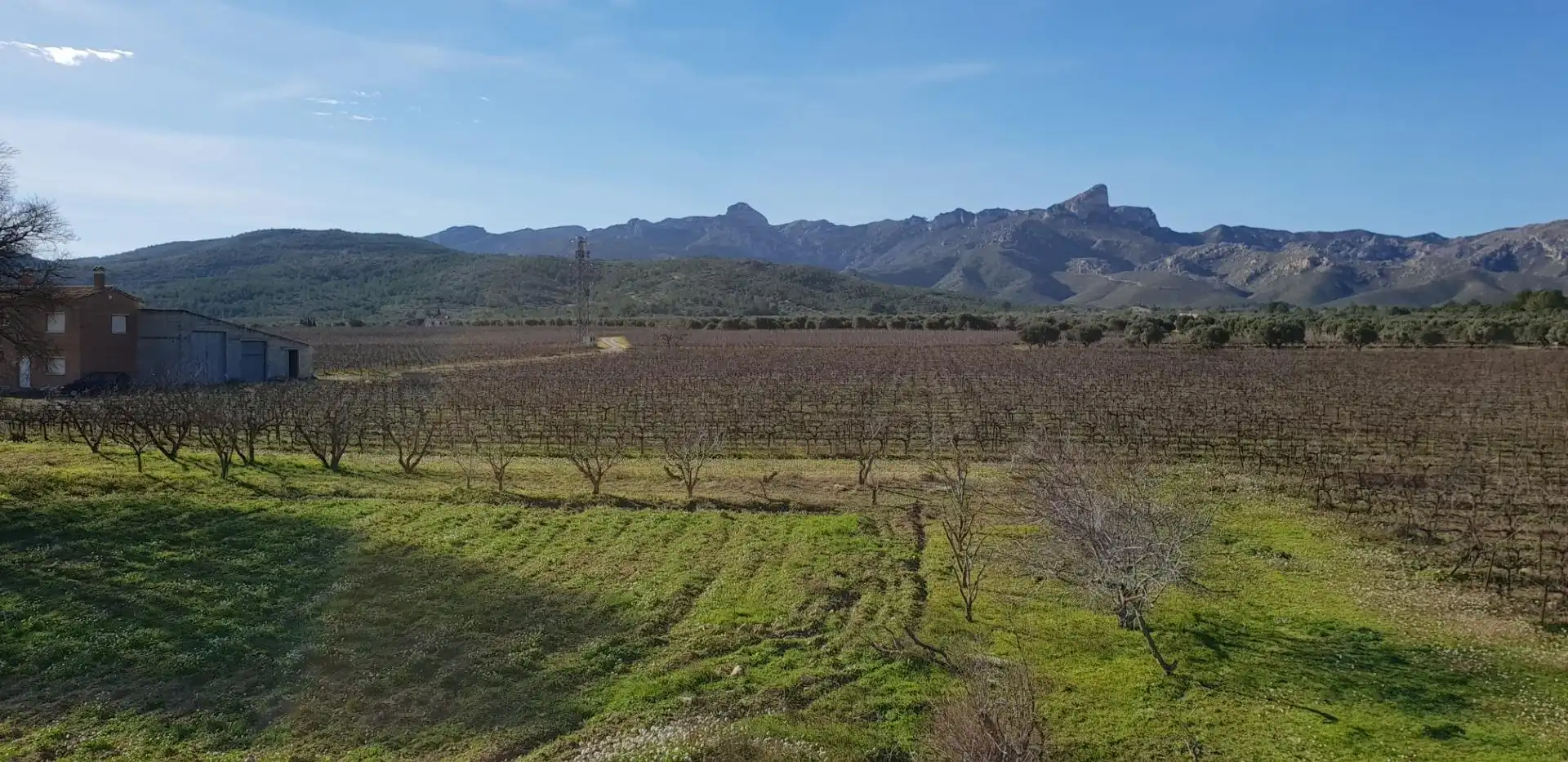 Finca rústica en venta en El Perelló con Jardín privado, Terraza y Trastero