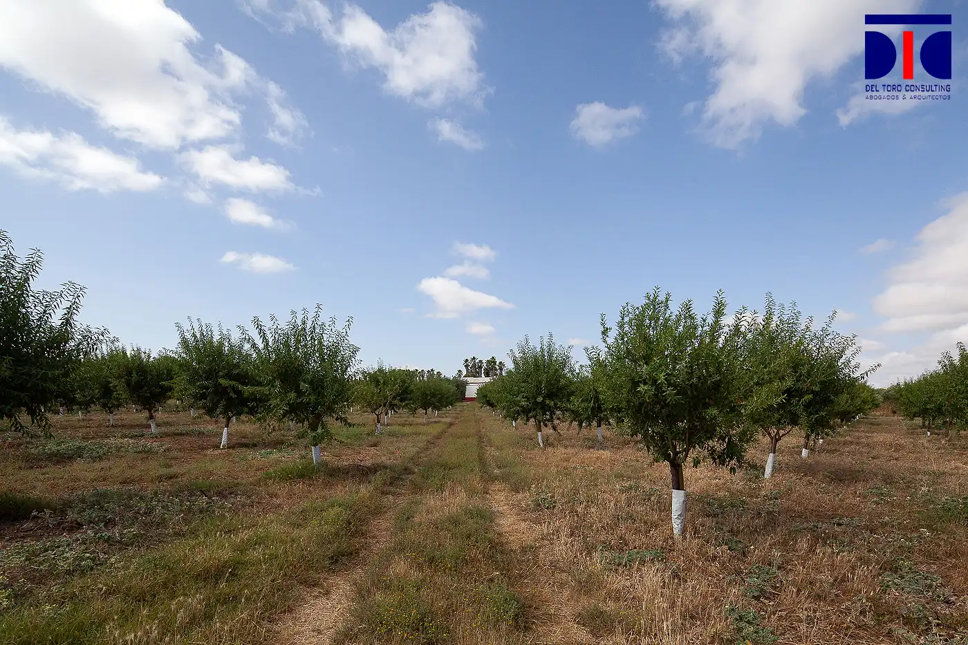 Finca rústica en venta en Carmona con Jardín privado, Terraza y Piscina