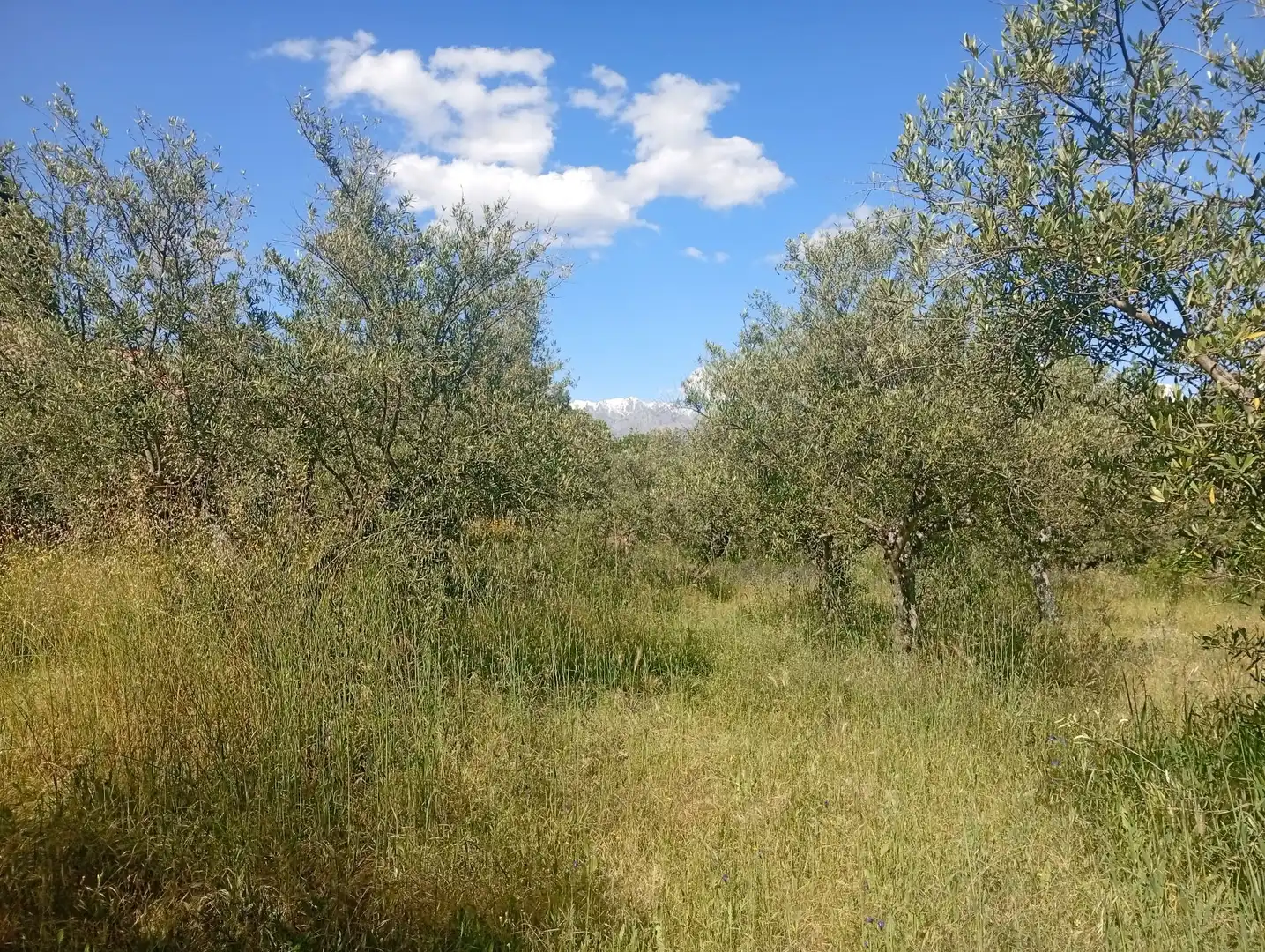 Maison à vendre à Villanueva de la Vera, imagen 52