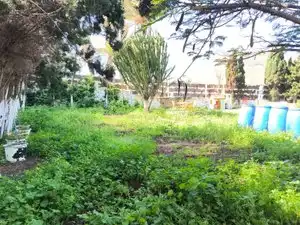 Houses for rent in Gáldar  with Private garden, Terrace and Furnished