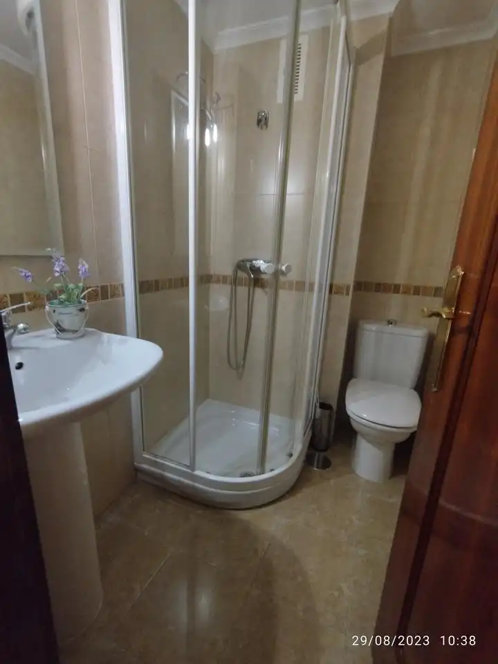 Bathroom of Attic for sale in Plasencia