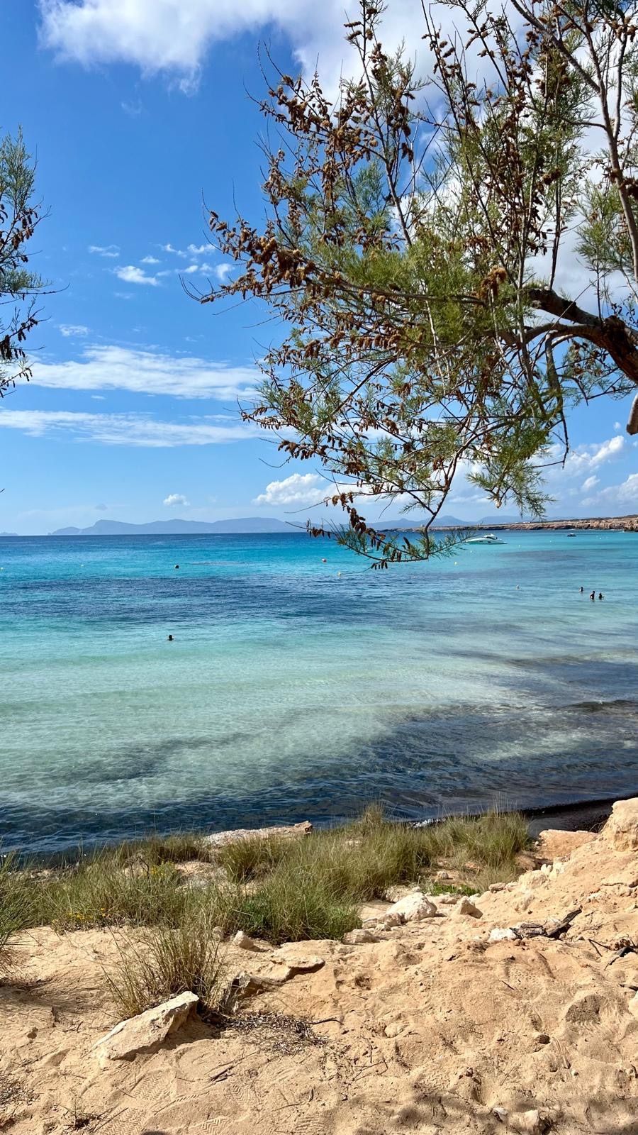 Vista exterior de Piso en venta en Formentera con Piscina comunitaria