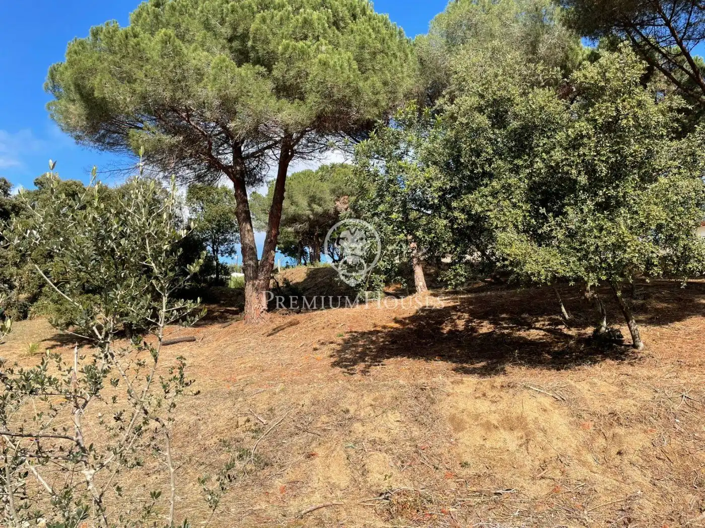 Residential land for sale in Rocaferrera, imagen 2