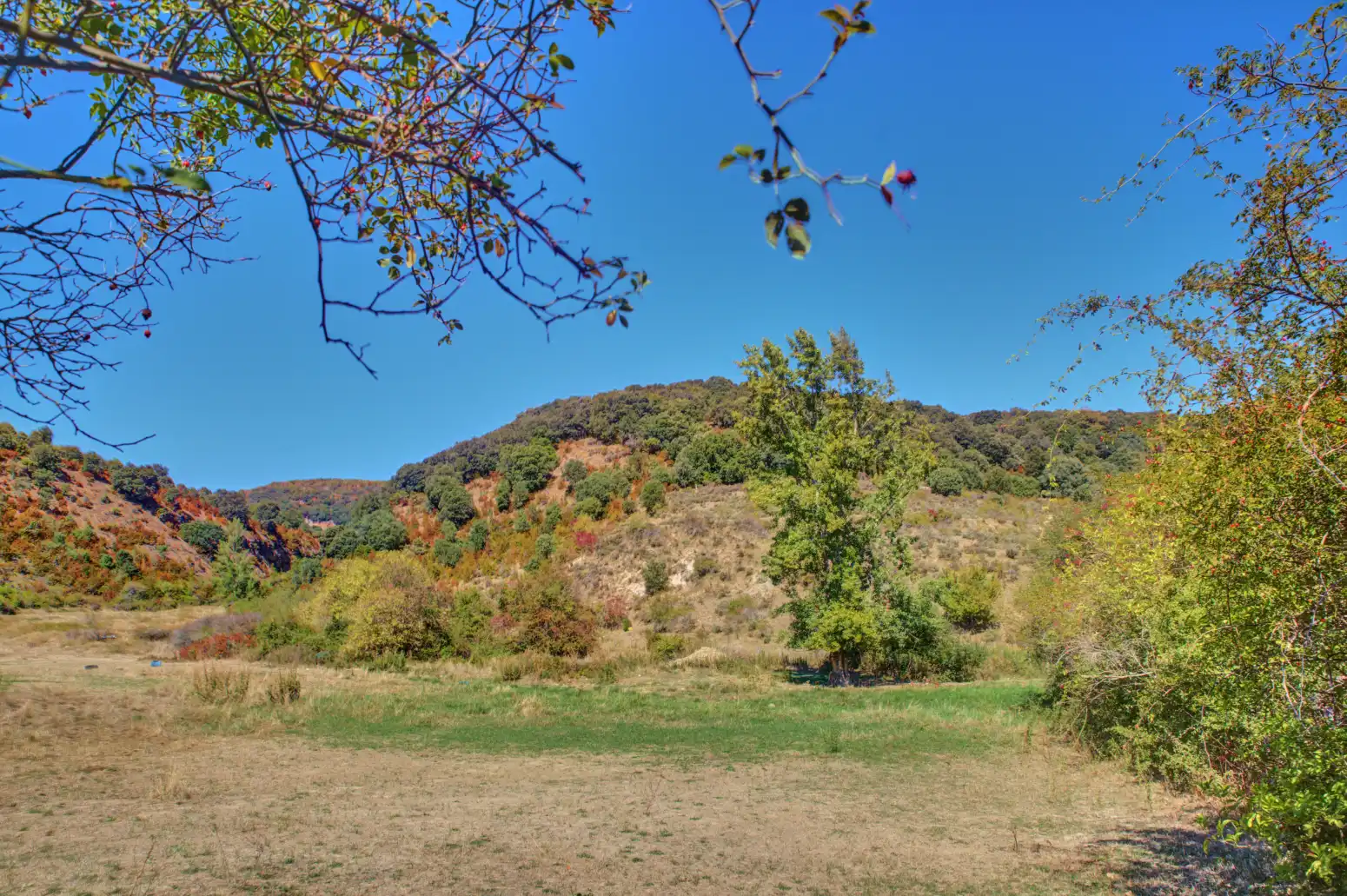 Land for sale in Salinas de Oro / Jaitz
