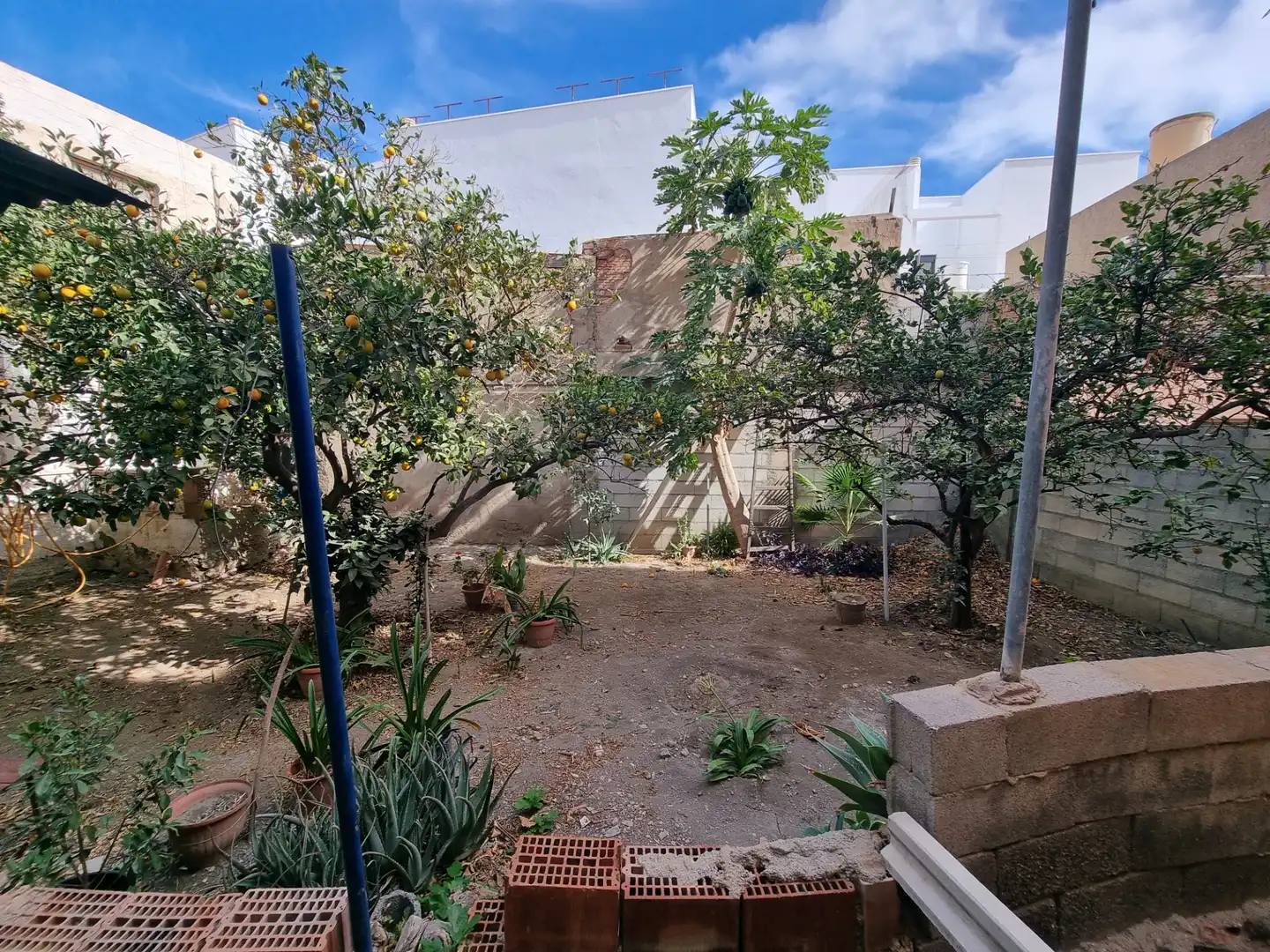 Jardí de Casa o xalet en venda en Almería amb Jardí privat, Terrassa i Moblat