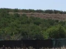 Terreno rustico in vendita a Madronyal 140, imagen 3