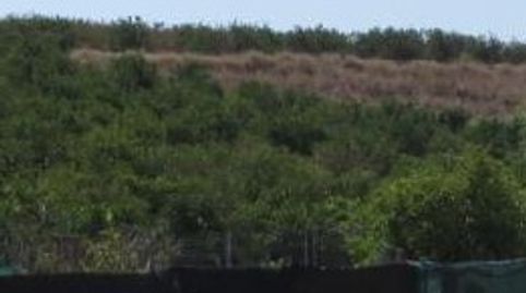 Foto 3 de Terreno en venta en Madronyal, 140, Monte Real, Torrent