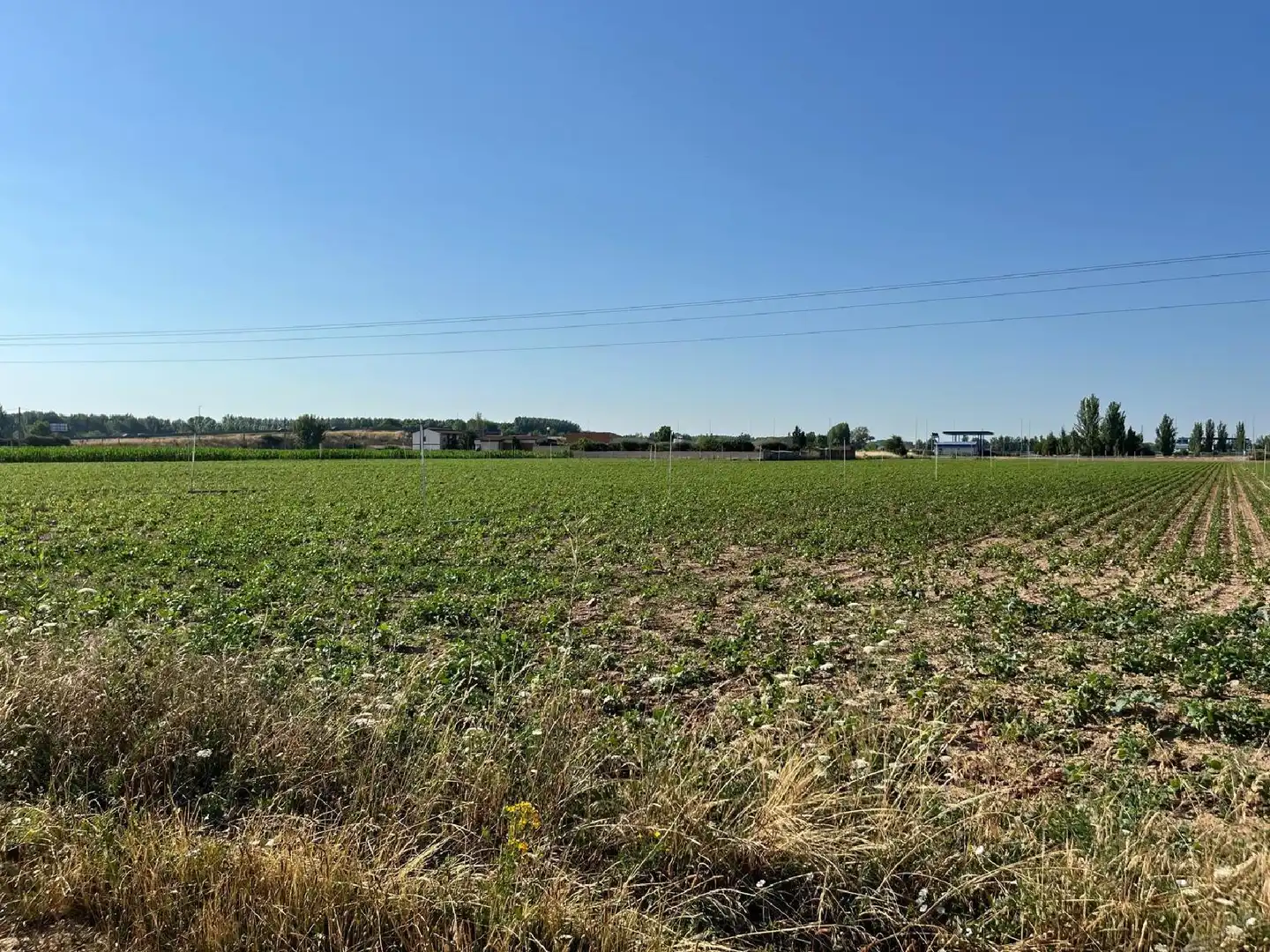 Nave industrial en venta en Hospital de Órbigo