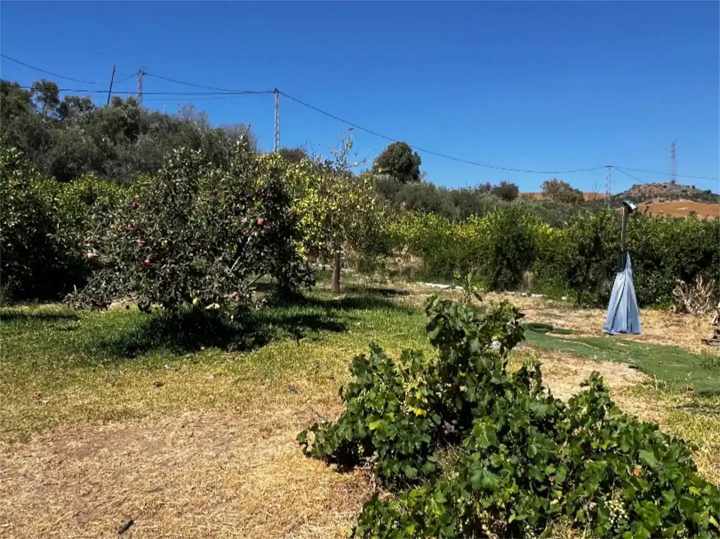 Country homes for sale in Álora  with Air Conditioner, Swimming Pool and Balcony