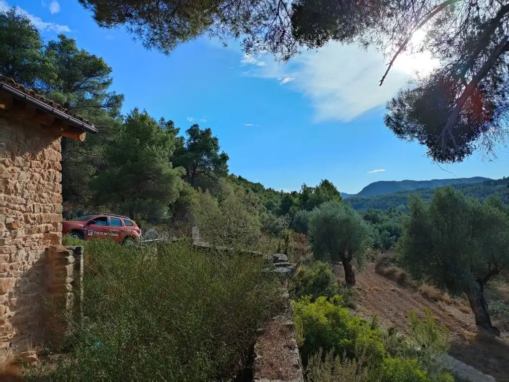 Country homes for sale in Fuentespalda