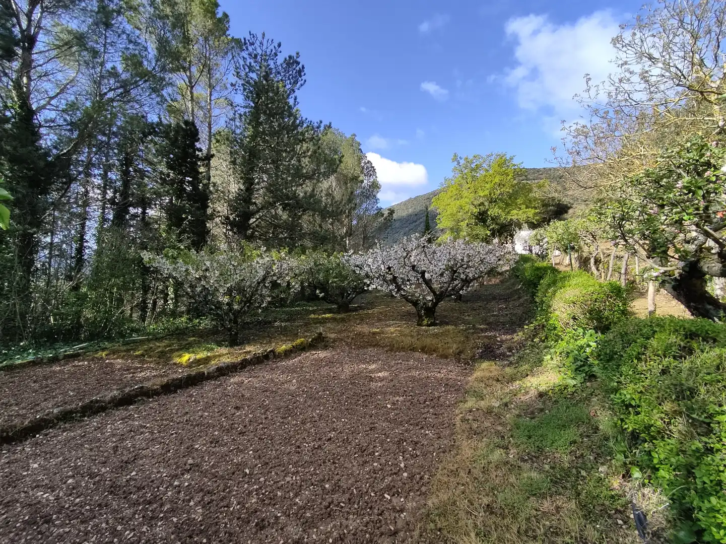 Jardín de Terreno en venta en Ciriza / Ziritza