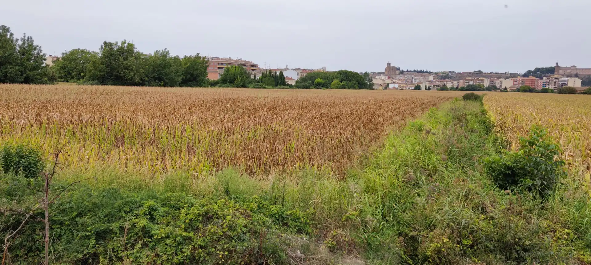 Residential land for sale in Camarasa-Sau4, imagen 2