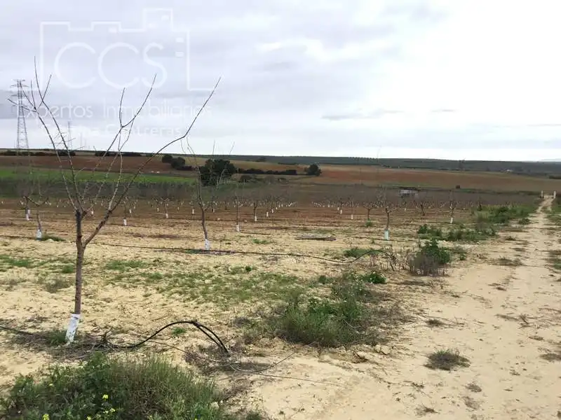 Terreno rústico en venta en Huévar del Aljarafe, imagen 14