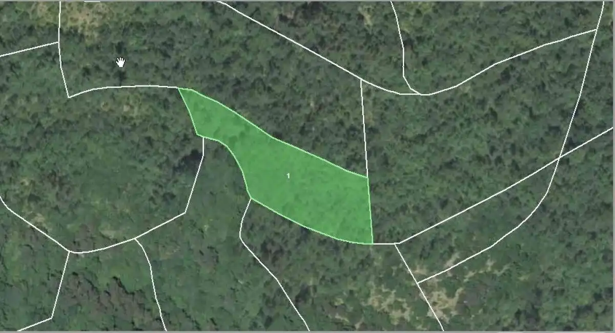 Terreno en venta en Esparza de Salazar / Espartza Zaraitzu