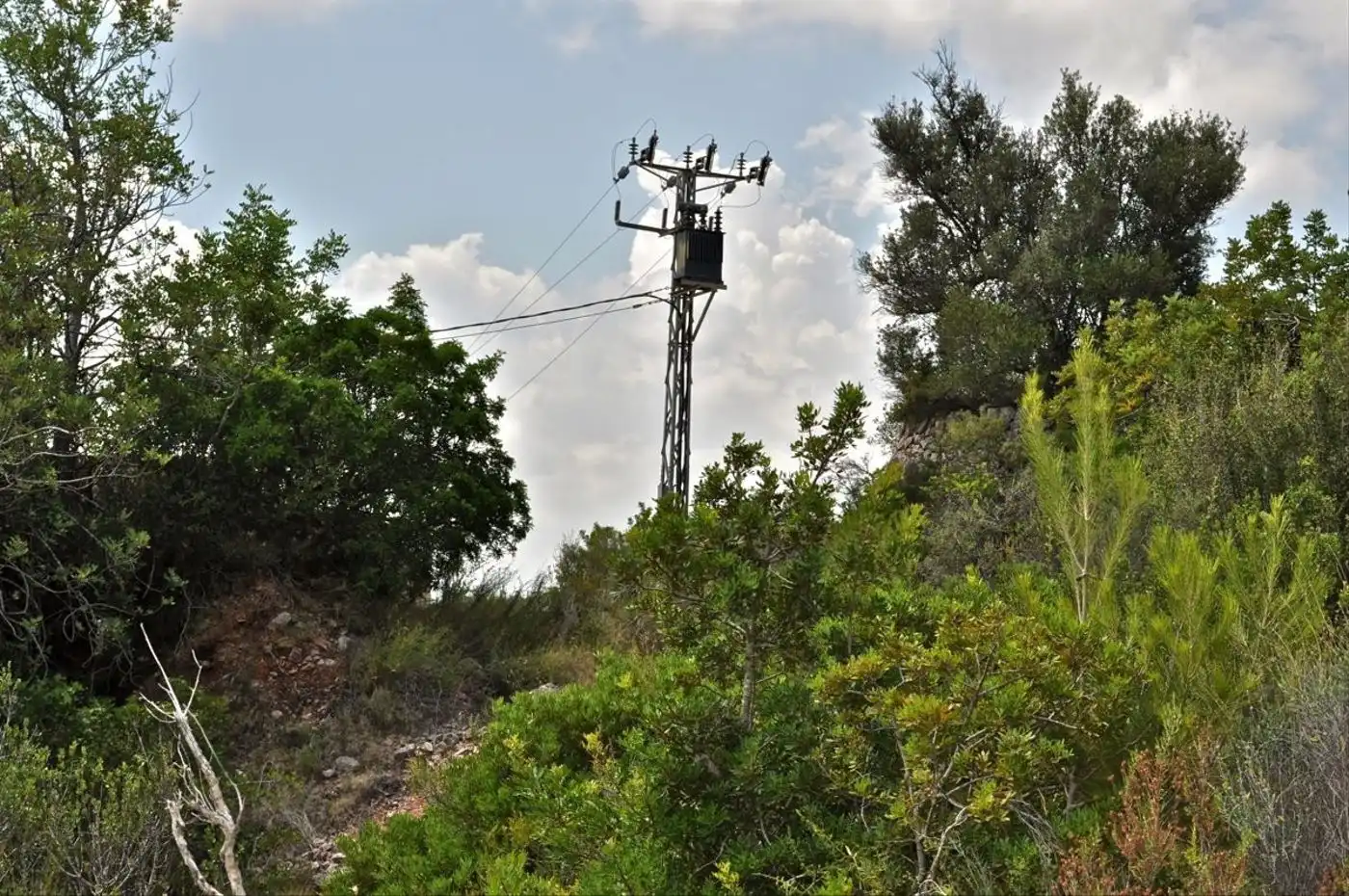 Land for sale in Camí del Barranc de la Llet, 26, Sant Llàtzer