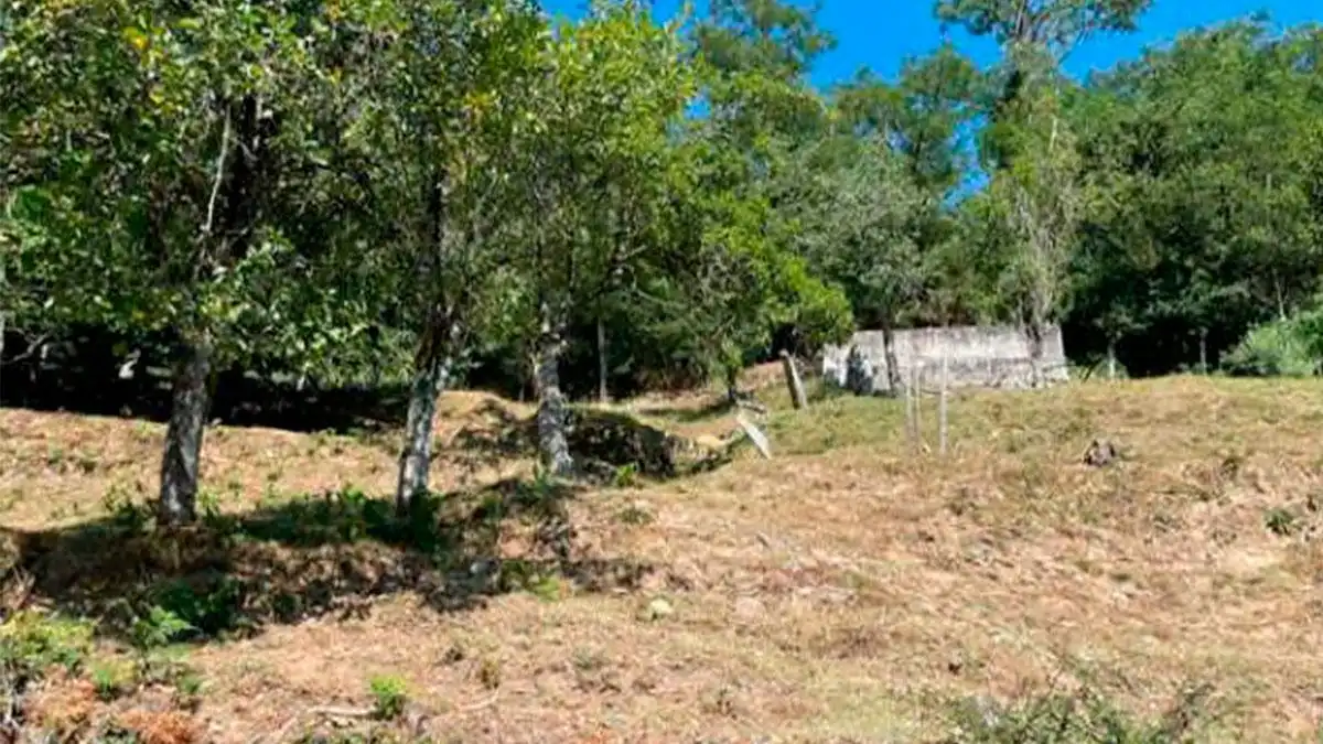 Lands and plots for sale in SITIO VIÑOTE, ARNOIS PG 508 PARC. 75, imagen 4